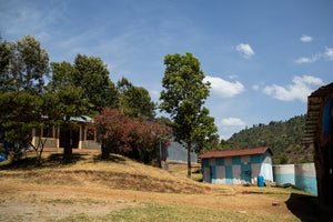 Ayla Washing Station sits on a hillside with trees and blue sky. The buildings are painted white and sky-blue.