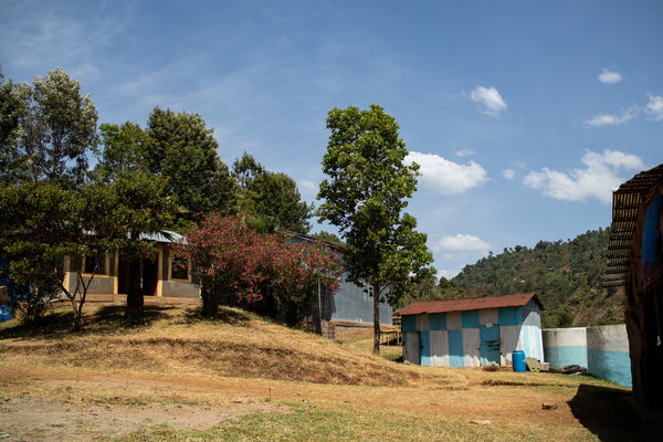 Ayla Washing Station sits on a hillside with trees and blue sky. The buildings are painted white and sky-blue.