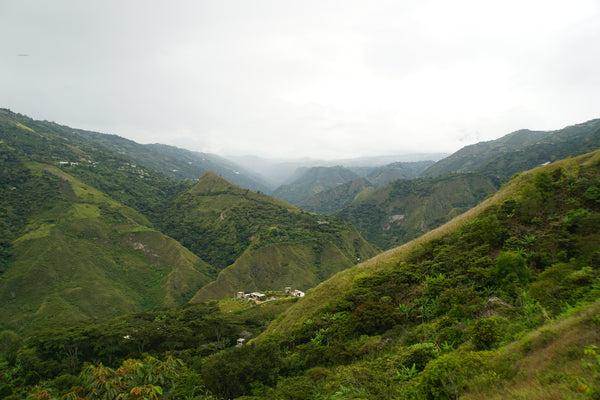 Lush green mountainous landscape with valleys under fog