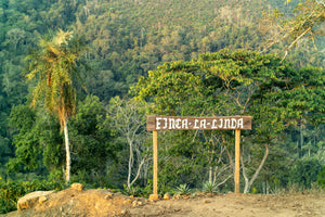 Wooden sign reading 'Finca La Linda' in a lush green forest