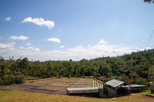 A wide outdoor landscape showing cultivated fields, dense green trees, and a small shelter under a bright blue sky with scattered white clouds.