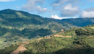 Scenic view of green hills under a blue sky with clouds