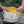 Hands resting on a basket of yellow coffee cherries outdoors.
