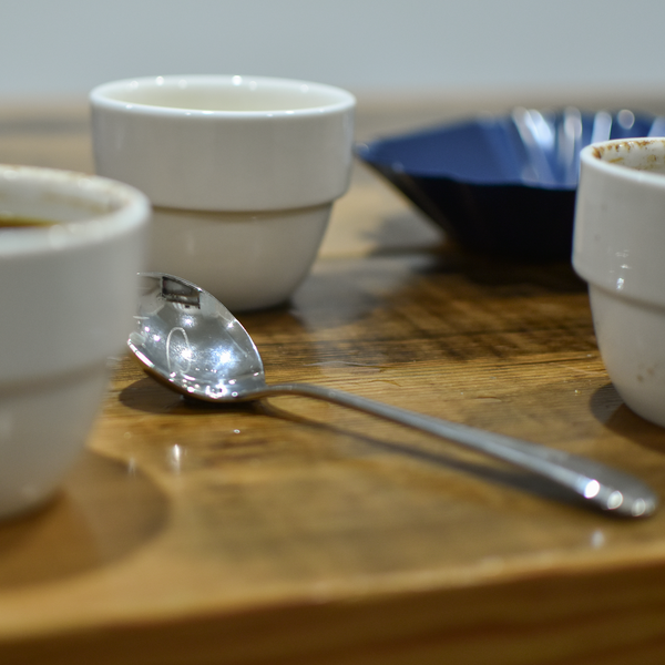 A stainless steel cupping spoon, sitting amidst three cupping bowls, on a wooden counter. It is very shiny and there is the Patricia 'P' etched into the bowl.