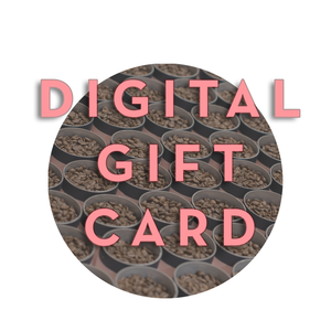A circular graphic with the words 'DIGITAL GIFT CARD' in large pink letters over a photo of many cylinders filled with coffee beans.