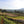 Sloped field with rows of coffee drying on raised beds under a clear sky