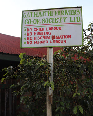 Signboard with text on a wooden post amongst coffee trees