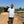 A man in a blue t-shirt stands on a gravel drive, with raised coffee beds behind him, in front of lush green trees.