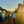 Gabriel Nunes and three other people standing in a field with coffee trees and a sunset in the background.