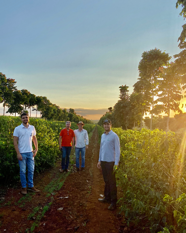 Gabriel Nunes and three other people standing in a field with coffee trees and a sunset in the background.