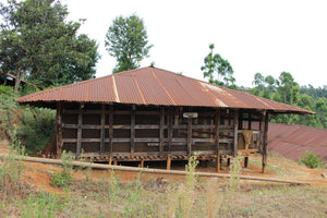 Traditional wooden structure with a rusted metal roof in a forested area, displaying a sign saying 'COFFEE BINS'