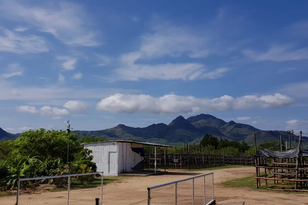 Small building surrounded by wooden coffee-drying beds, with mountains in the background under a blue sky with clouds.