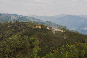 A sweeping view of the mountains and valleys around Finca Lomaverde.