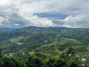 Green hills and valleys under a cloudy sky with coffee trees in the foreground