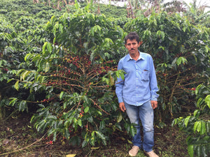 Luis A. Calderón standing next to a coffee plant with red cherries at Finca Villa Betulia.