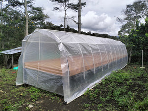 Coffee drying beds under a protective tarp.