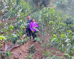 Silvino and Rosa walking through their coffee plantation.