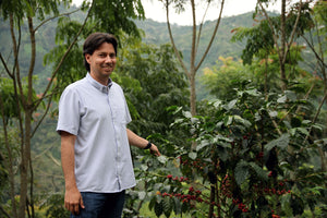 Leo standing among coffee plants with a scenic background